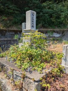 お墓参り代行清掃代行清掃前の写真