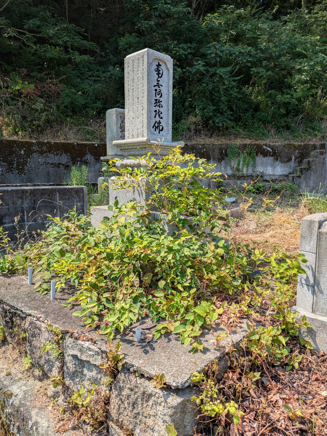 お墓掃除 施工前